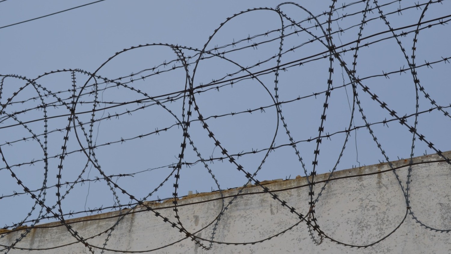 Ксения Калинина