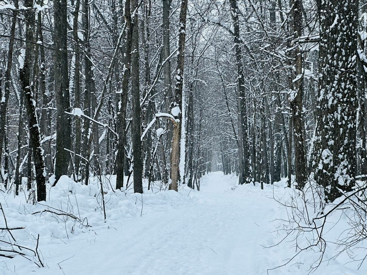 Иван Иванов телеграм-канал