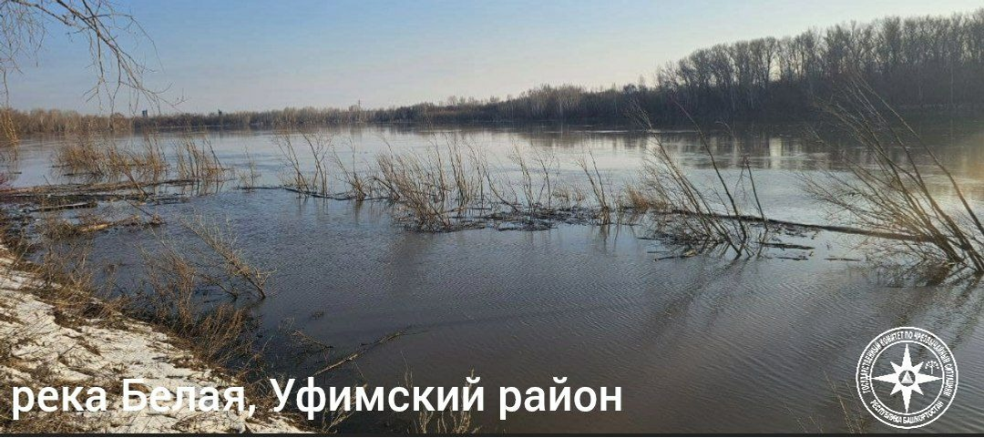 telegram-канал председателя госкомитета РБ по ЧС Кирилла Первова