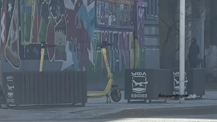 Ксения Калинина ИА Башинформ