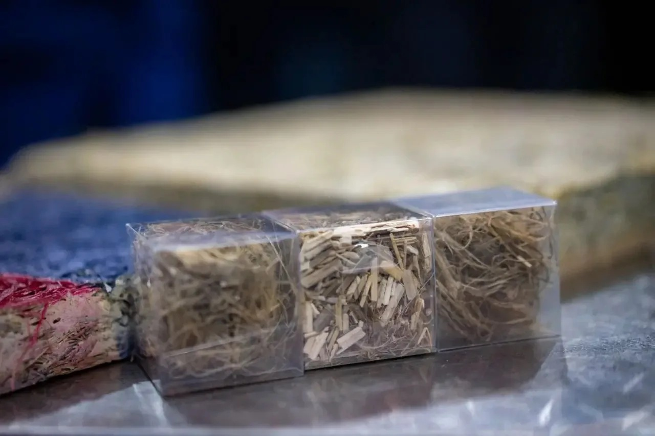 Радий Хабиров ТГ-канал