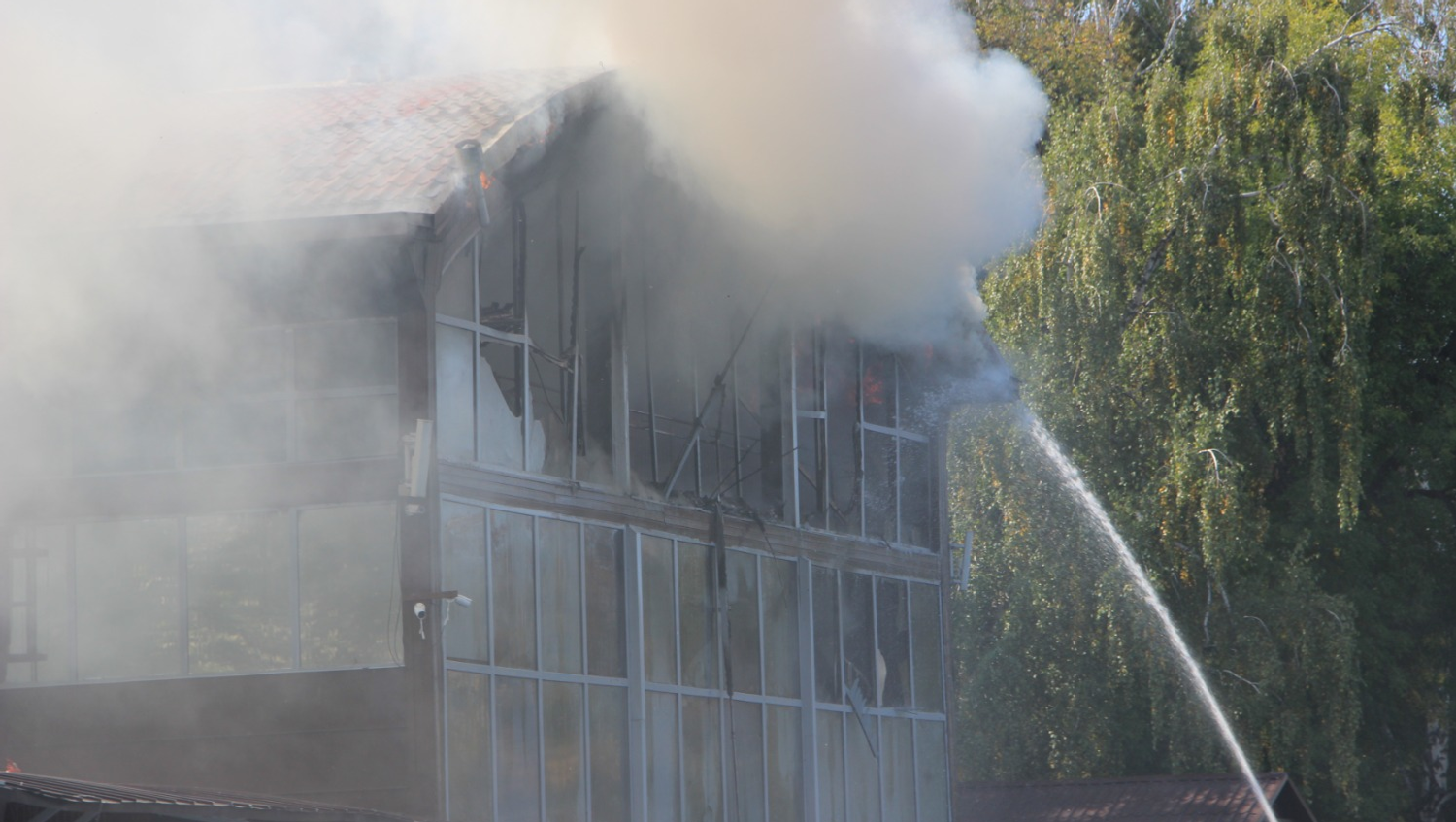 Ксения Калинина