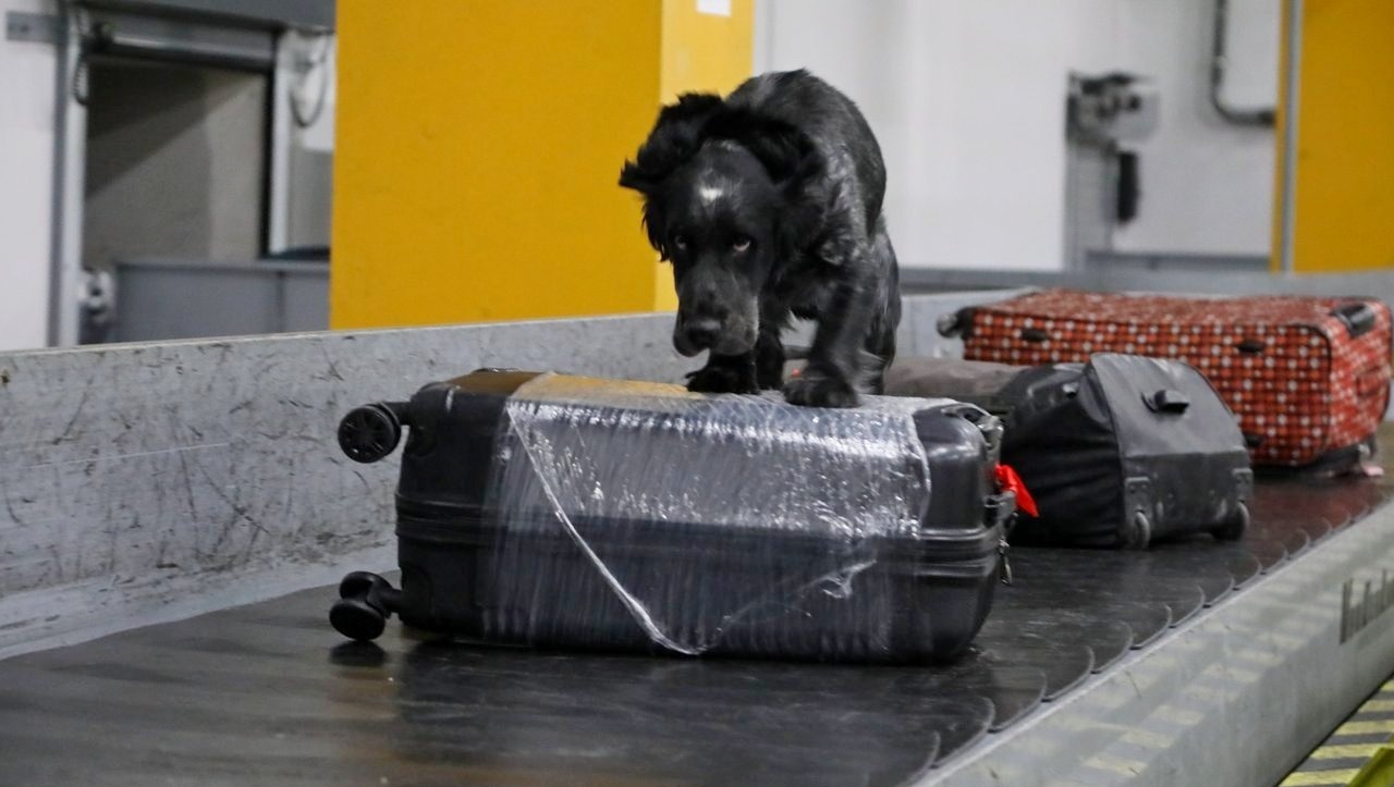 Валерий Шахов