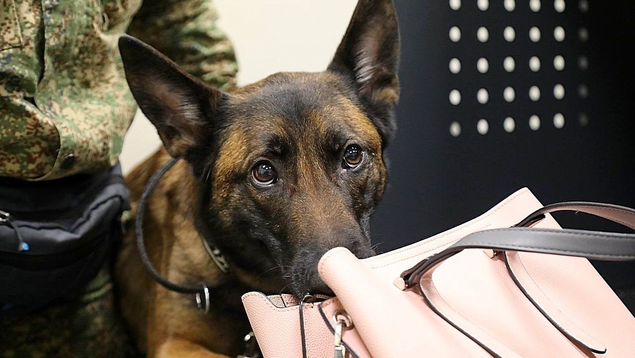 Валерий Шахов