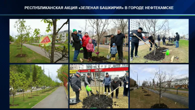 скриншот трансляция оперативного совещания правительства РБ