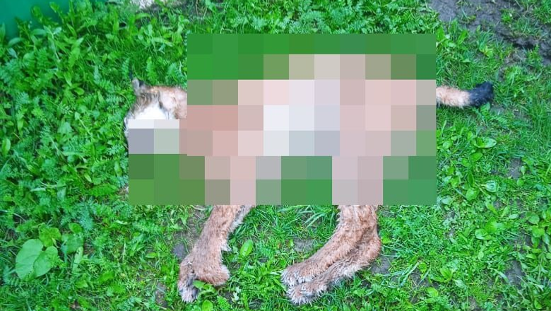 минэкологии РБ 18+