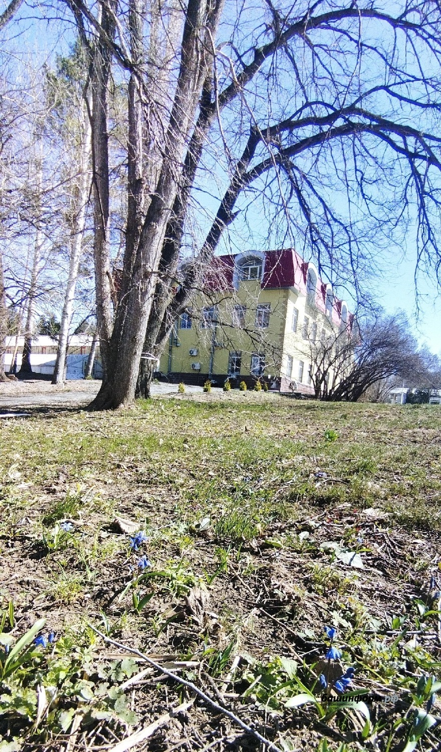 Южно-Уральский ботанический сад-институт ВКонтакте