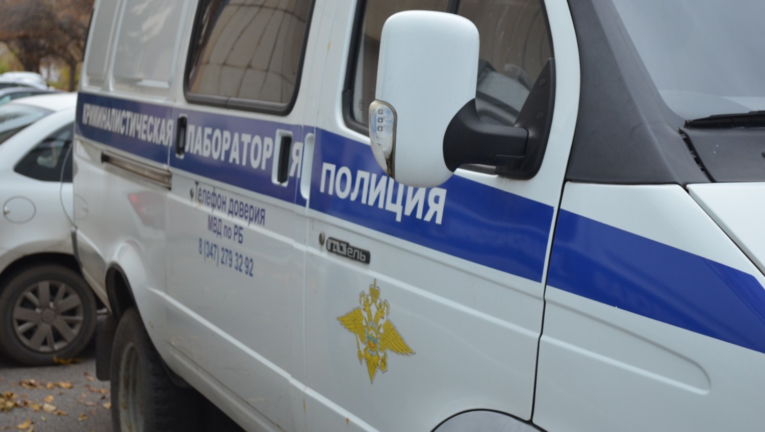 Ксения Калинина