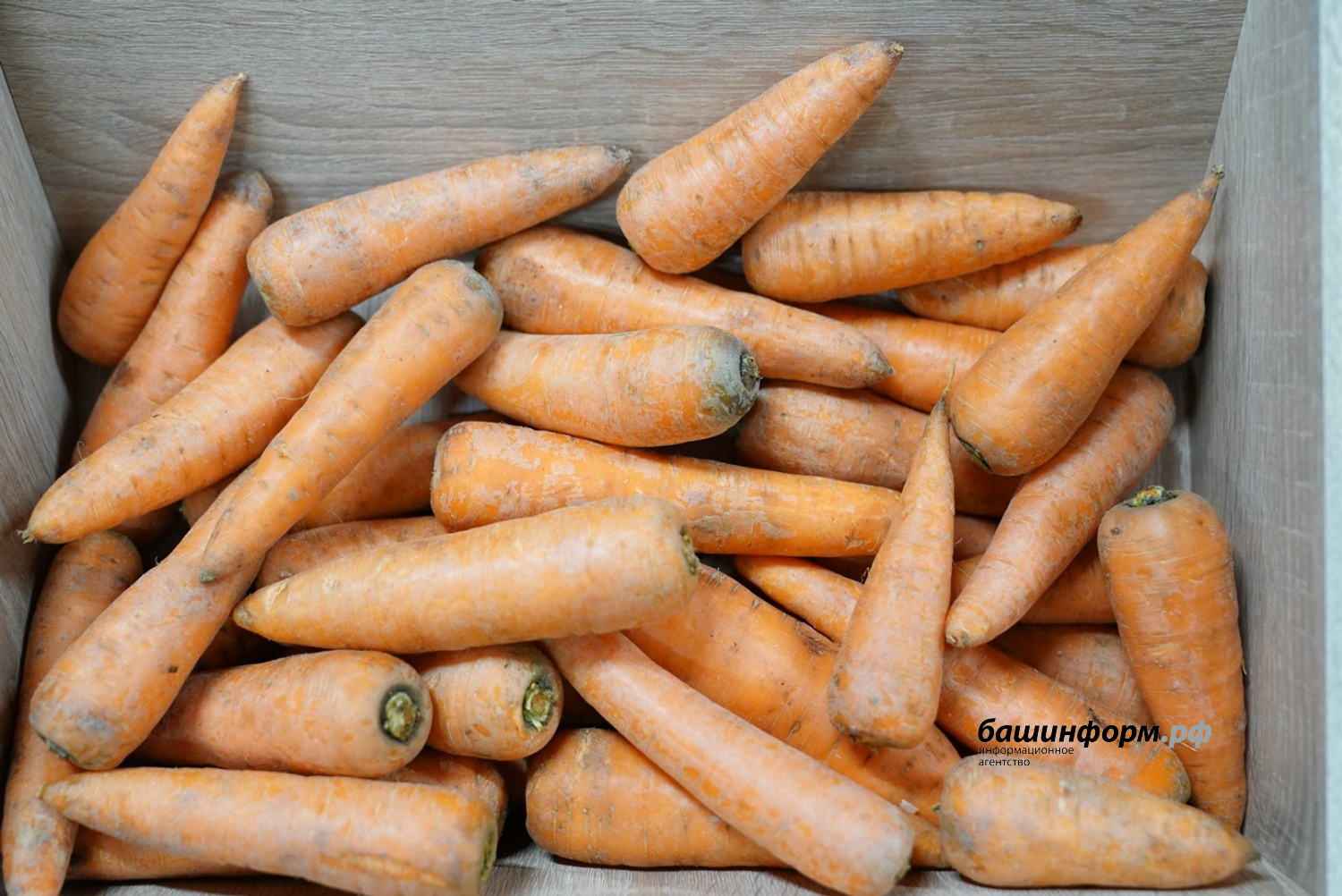 Олег Яровиков  ИА «Башинформ»