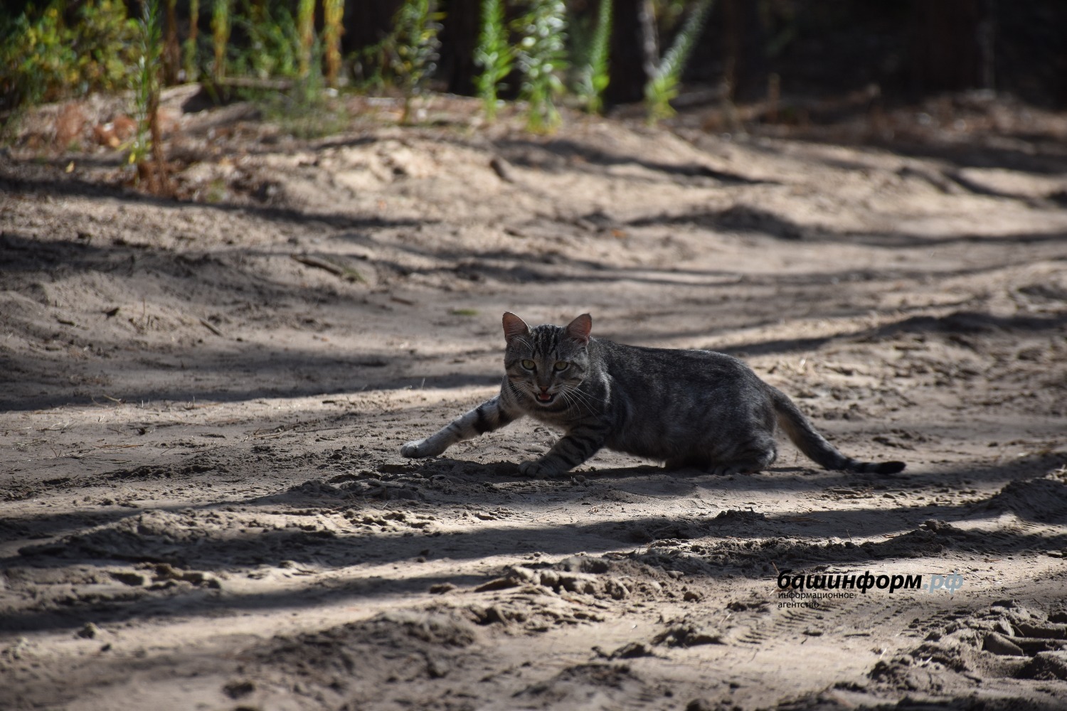 Эдуард Кускарбеков