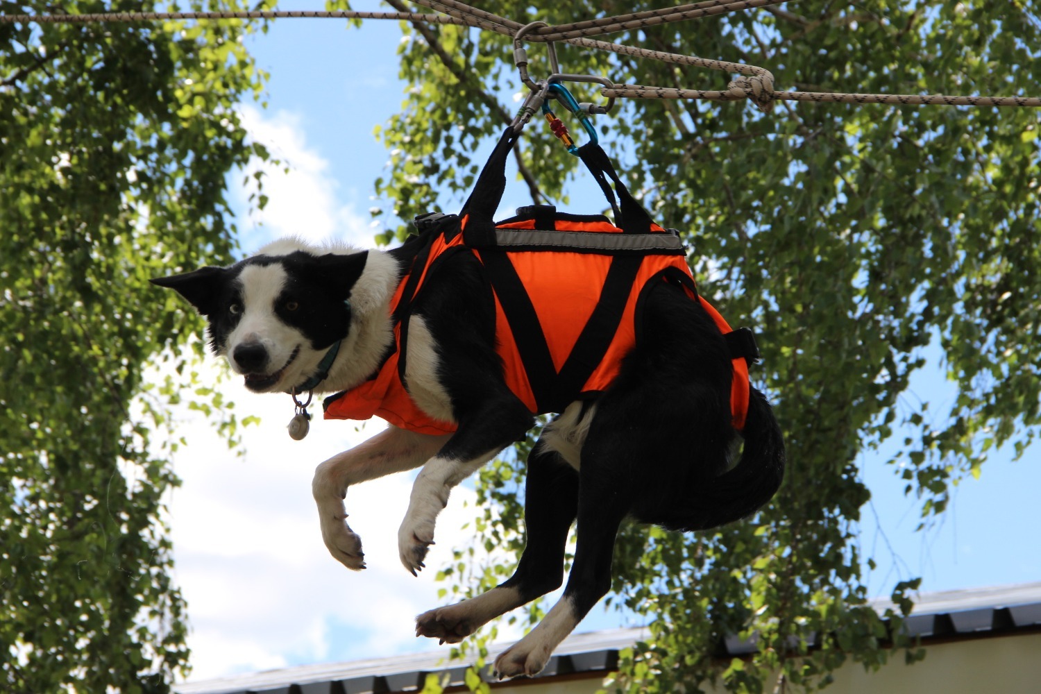 Ксения Калинина