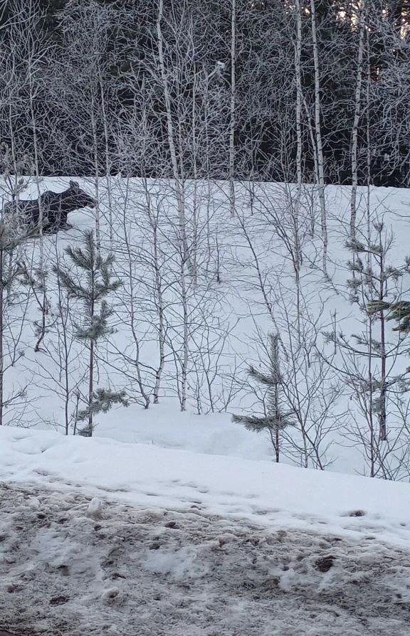 министерство  природопользования и экологии РБ