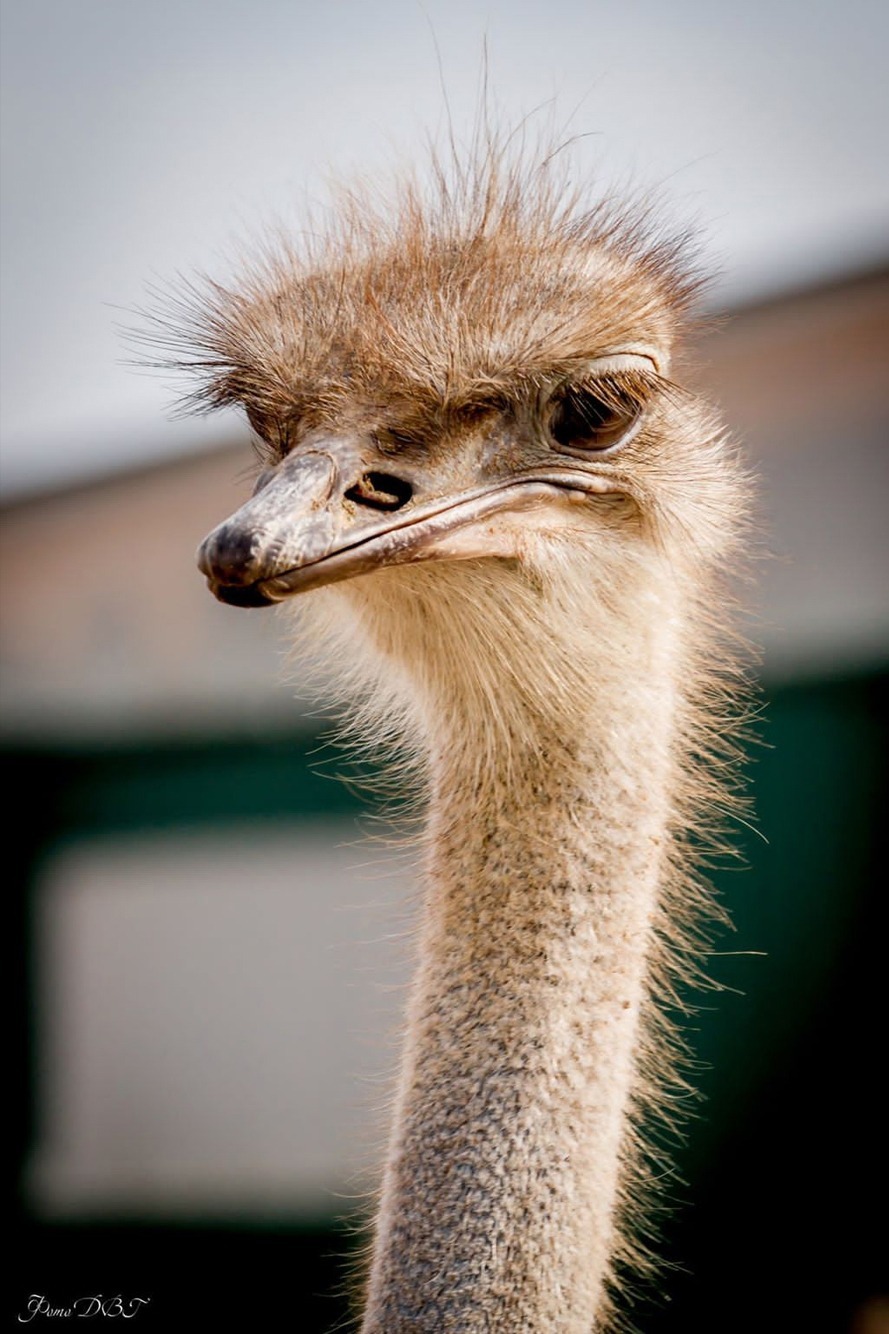 предоставлено героем публикации