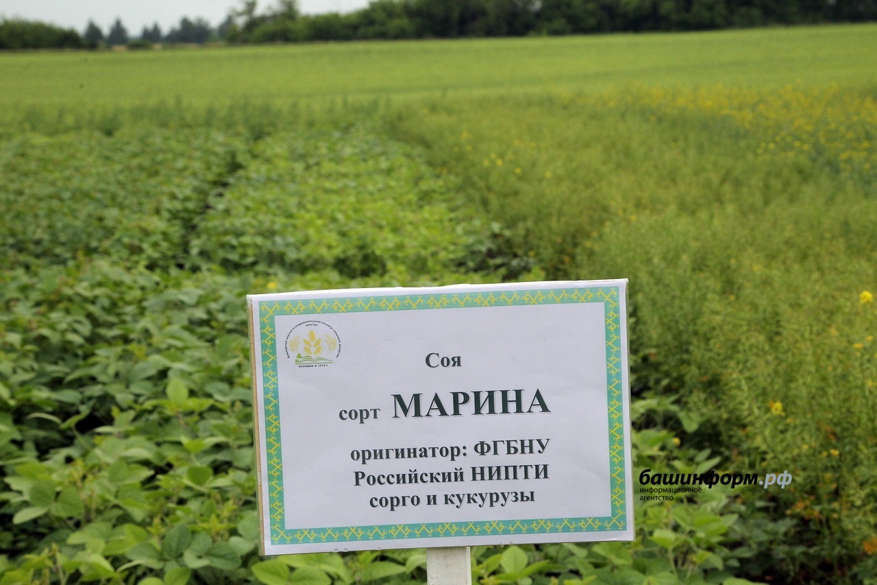 Олег Яровиков архив ИА «Башинформ»