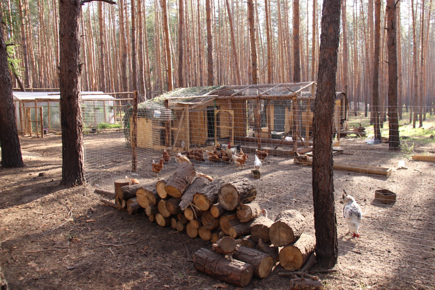 Эдуард Кускарбеков