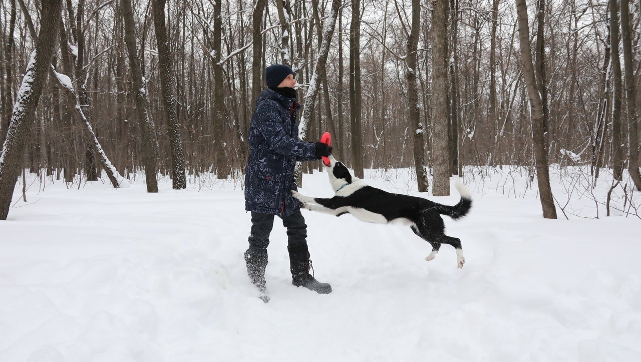 Валерий Шахов