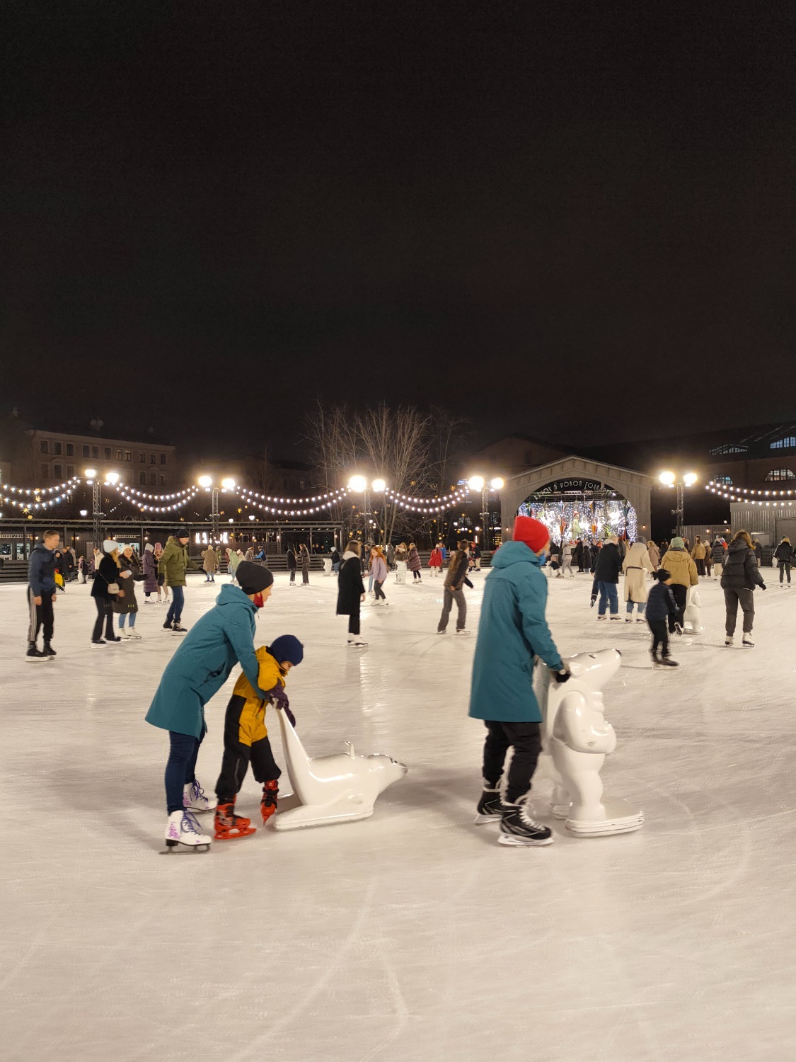 Каток в Новой Голландии