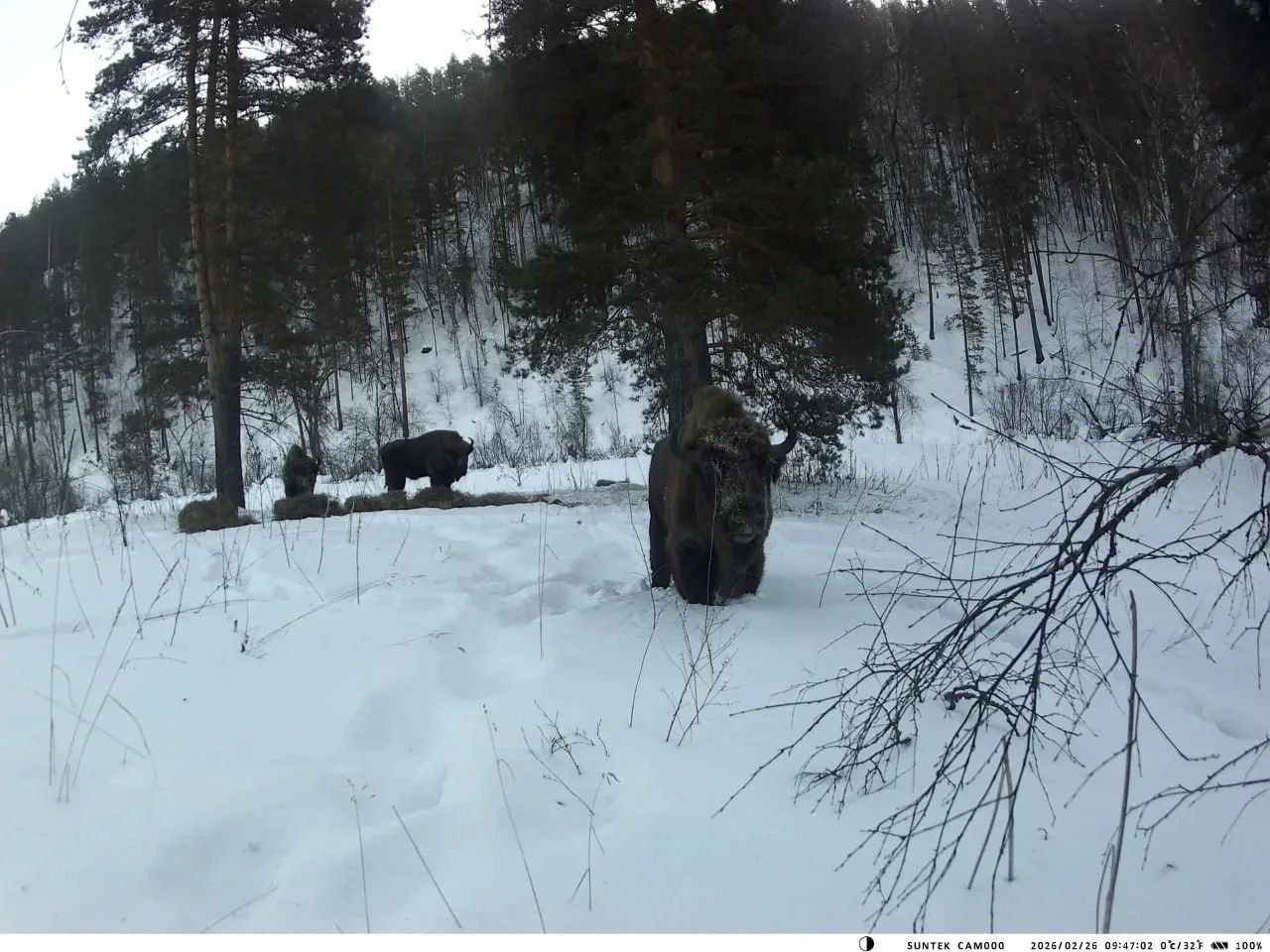 пресс-служба министерства природопользования и экологии Республики Башкортостан соцсети