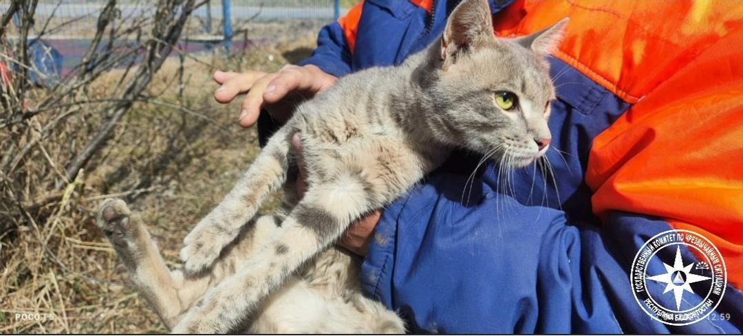 госкомитет РБ по ЧС