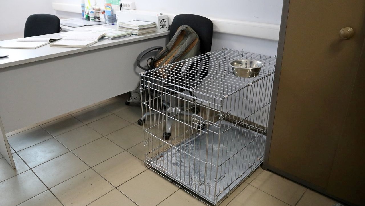 Валерий Шахов