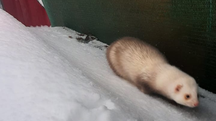 личный архив Андрея Жерновкова