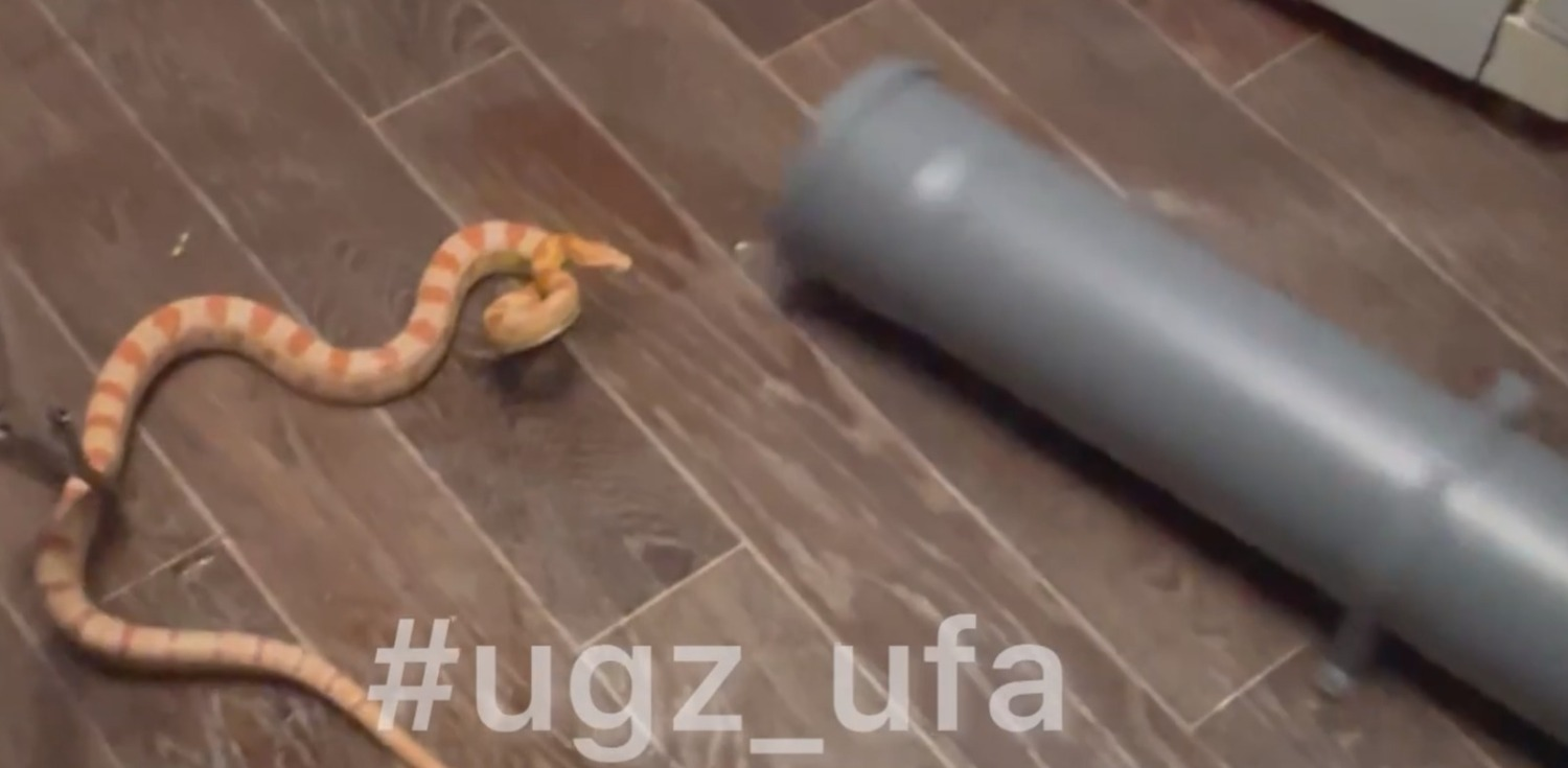 Управление гражданской защиты г. Уфы пресс-служба