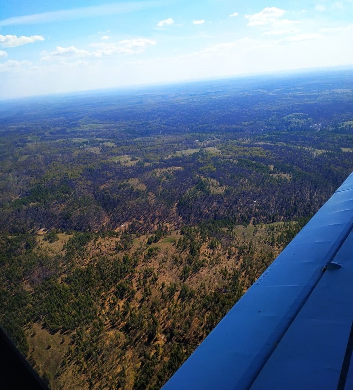 пресс-служба министерства лесного хозяйства Башкирии, архив