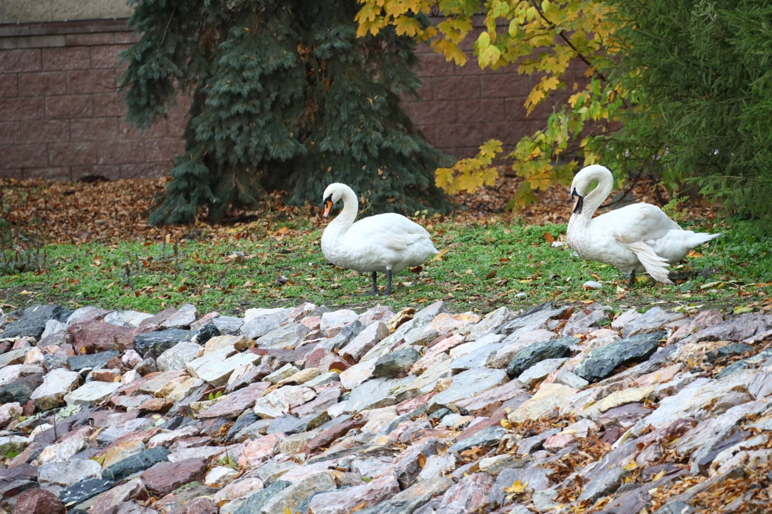 Валерий Шахов