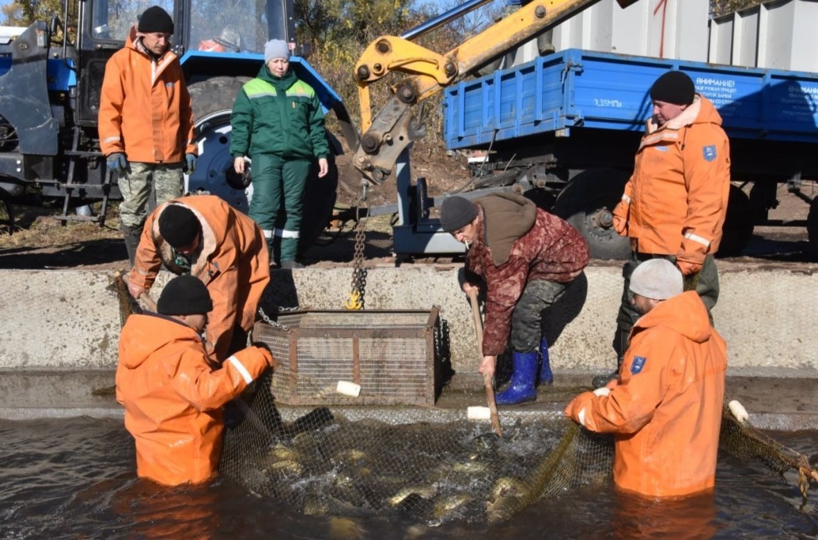 группа для общения Радия Хабирова с бизнесом