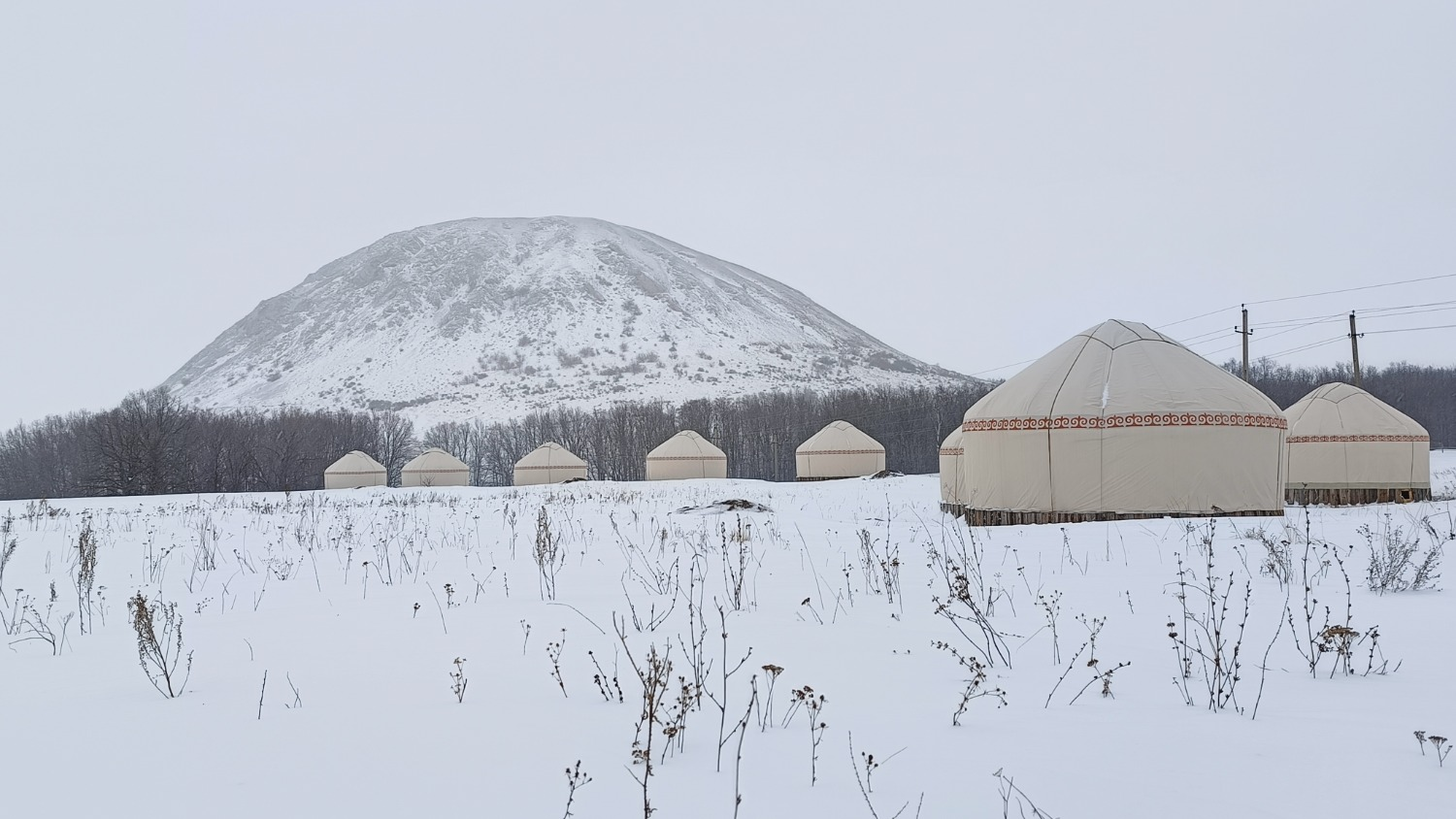 Станислав Шахов