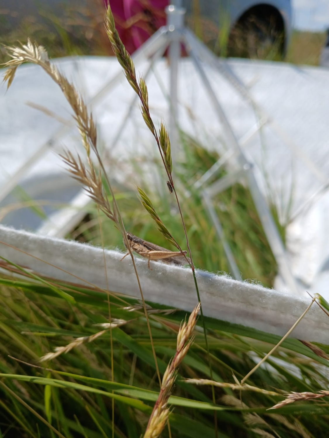 филиал Россельхозцентра по Республике Башкортостан