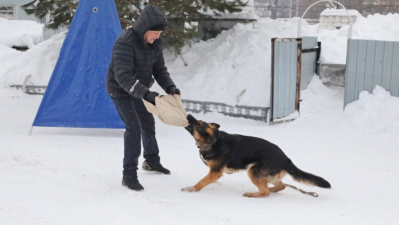 Валерий Шахов
