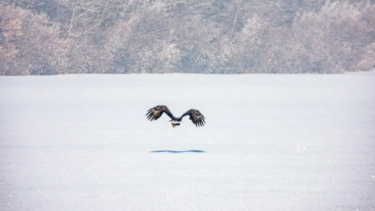 Рамиль Хамитов, телеграм-канал нацпарка «Башкирия»