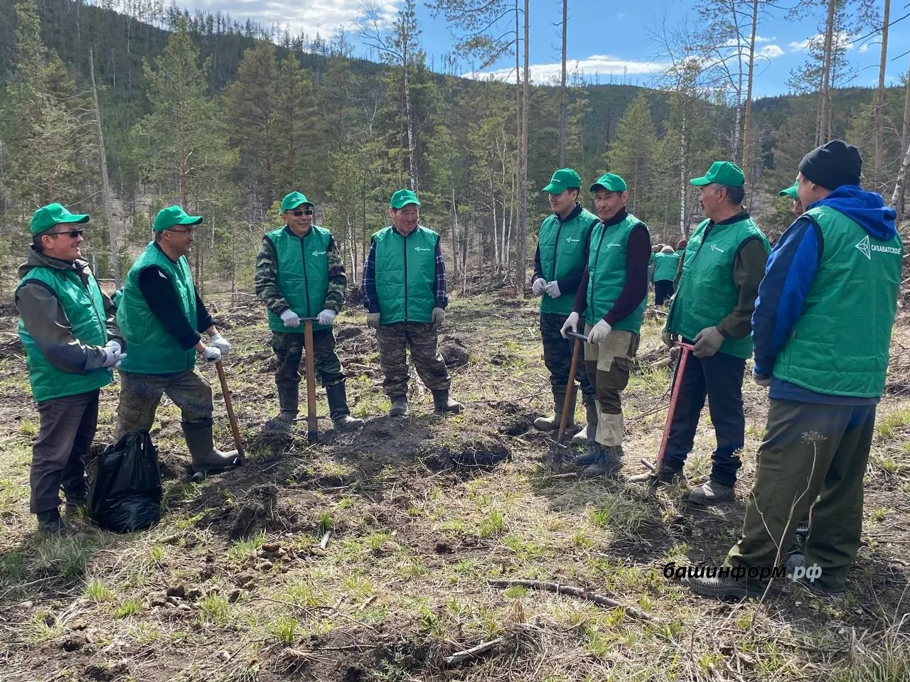 Инсаф Хужабирганов ИА «Башинформ»