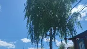 ИА «Башинформ» архив