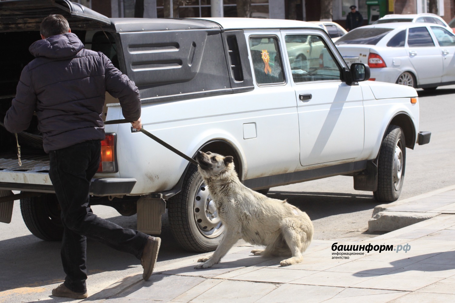Валерий Шахов