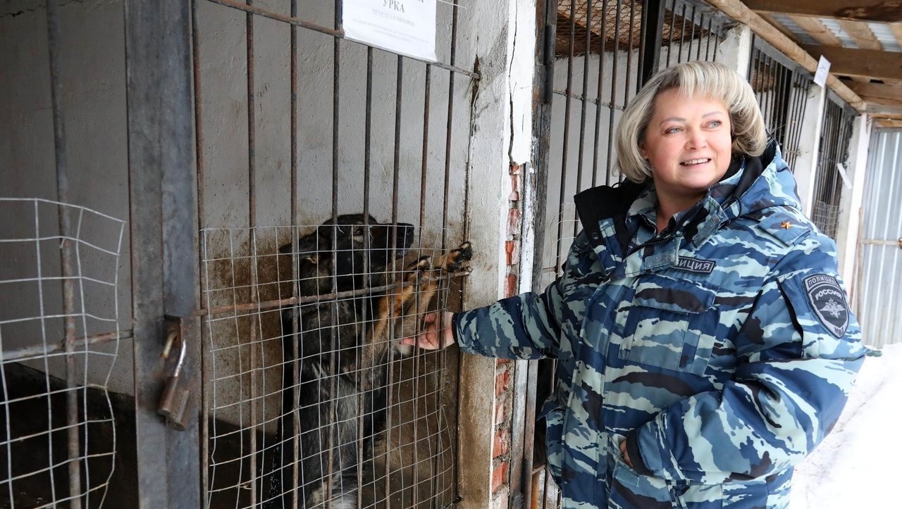 Валерий Шахов