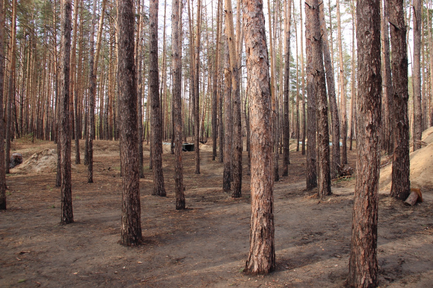 Эдуард Кускарбеков