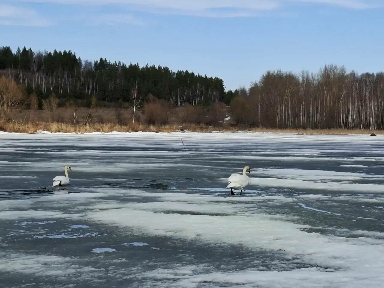 соцсети  Андрея Назарова