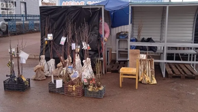 сайт администрации Уфы