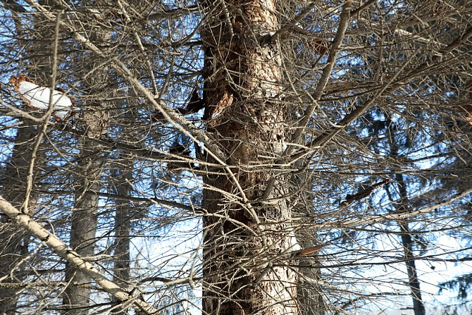 Пресс-служба Администрация г. Уфы