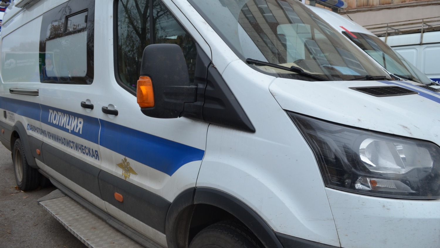 Ксения Калинина