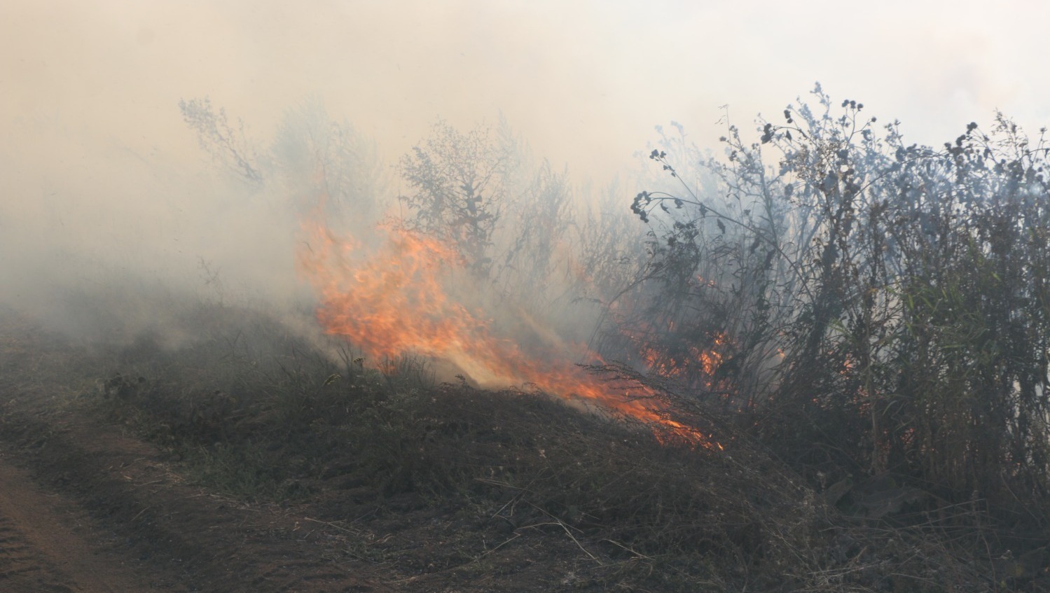 госкомитет РБ по ЧС, архив