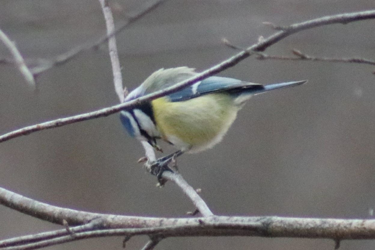 пресс-служба нацпарка «Башкирия»