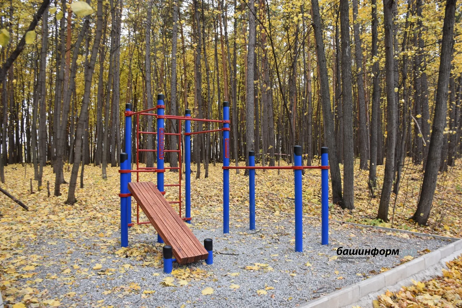 Эдуард Кускарбеков