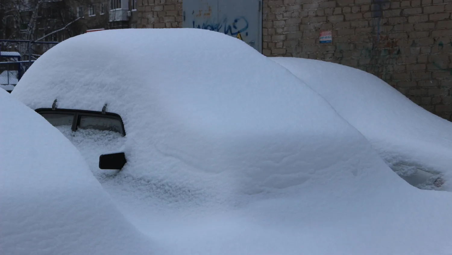 Ксения Калинина