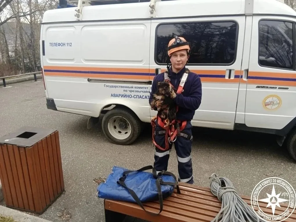 госкомитет РБ по ЧС