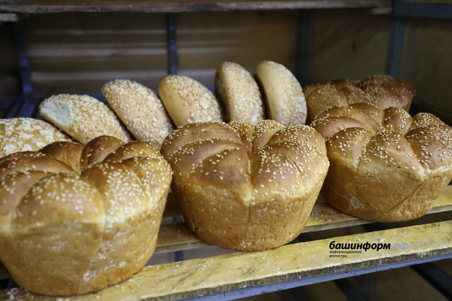 Валерий Шахов