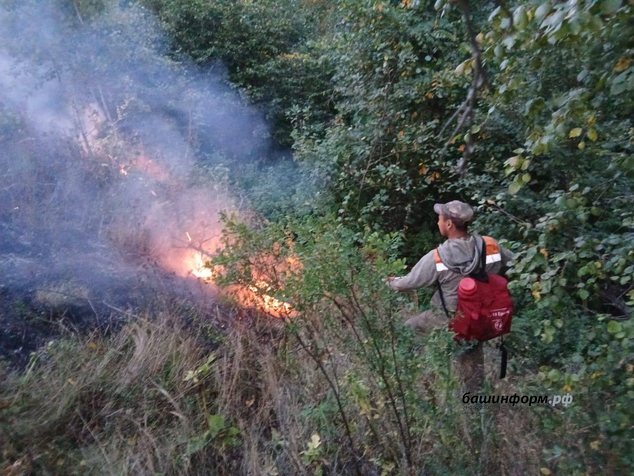 telegram-канал премьер-министра РБ Андрея Назарова