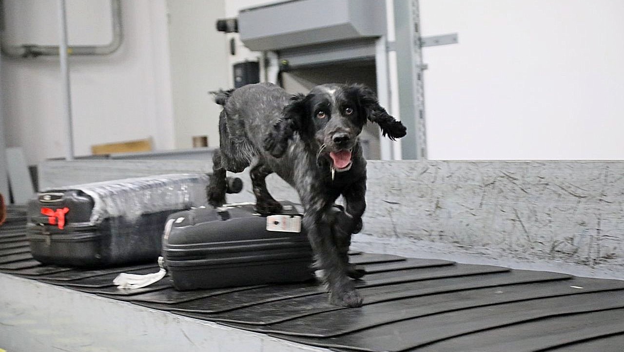 Валерий Шахов